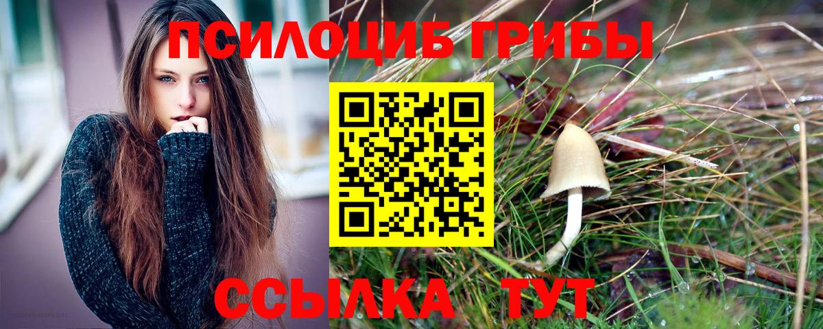 Псилоцибиновые грибы MAGIC MUSHROOMS  купить   Дмитров  Вход с VPN  Галлюциногенные грибы GOLDEN TEACHER 